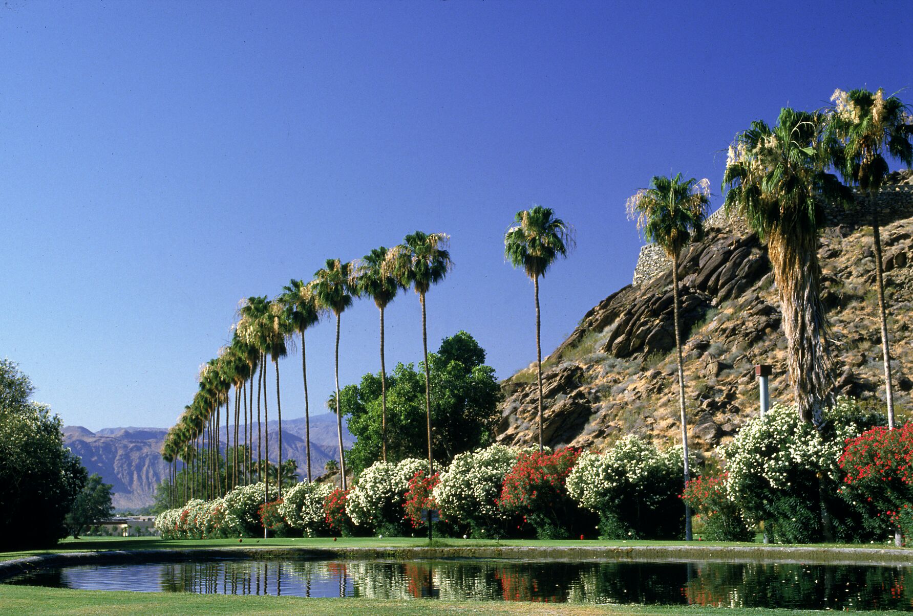 Palm Springs Vacation Los Angeles Party Bus Limo Palm Springs Vacation Los Angeles Party Bus Limo